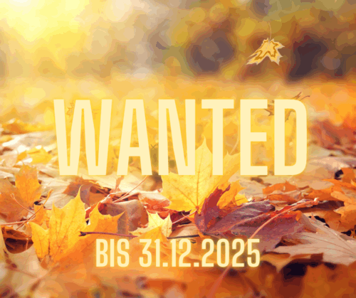 Meine To-Want-Liste Q4/25